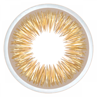 عدسات جونسون فريش هوني اليومية Define Fresh Honey