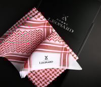 عرض الشتاء الفضي