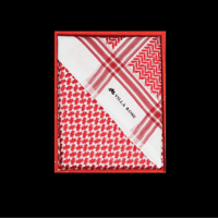 عرض الشتاء الفضي