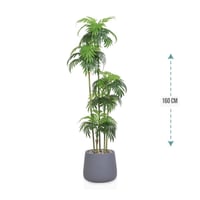 شجر نخل 5 فرع حوض فيبر 160 سم : 577-521