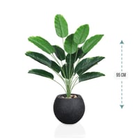 شتلة ورق موز 18 ورقة حوض فيبر 95 سم :78913-516