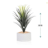 شجر صبار وسط مركن زاوية ارتفاع 100 سم : 1019-531