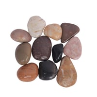 حصى مشكل 10 كجم لمعة : M15-2