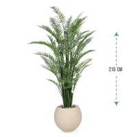شجر نخل اريكا حوض فيبر 210 سم : 2720-514