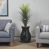 صبار وسط مركن فيبر