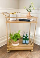 عربية تقديم ضيافة ذهبي