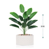 شتلة ورق موز 18 ورقة حوض بلاستيك زاوية 95 سم :7891...