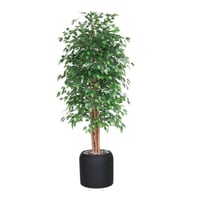 شجر فيكس حوض فيبر 537-4-3467