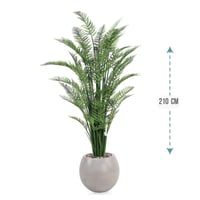 شجر نخل اريكا حوض فيبر 210 سم : 2720-514