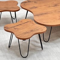 طقم طاولة القهوة الأنيق