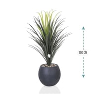 شجر صبار وسط مركن فيبر ارتفاع 100 سم : 1019-515