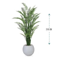 شجر نخل اريكا حوض فيبر 210 سم : 2720-514