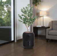 شجر زيتون حوض فيبر 3480-554