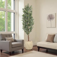 شجر زيتون جذع طبيعي حوض فيبر 7807-548