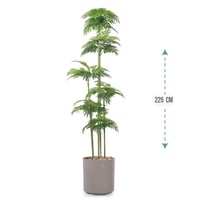 شجر نخل 6 فرع حوض بلاستيك 225سم : 575-2020GL-R