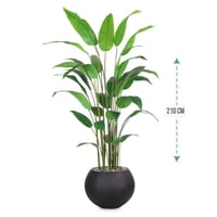 شجر ورق عصفور الجنة حوض فيبر ارتفاع 210 سم : 1631-...