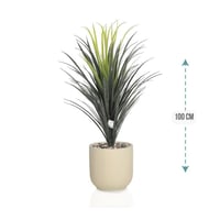 شجر صبار وسط مركن فيبر ارتفاع 100 سم : 1019-534