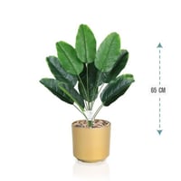 شتلة ورق موز 12 فرع حوض بلاستيك 65 سم : 78912-24