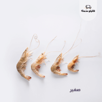 روبيان صغير - Small Shrimp