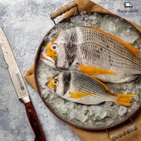 سمك فسكر - Faskar