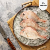 سمك عندق صغير - Small Andak