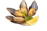 ميديا دولمه -Midye dolma