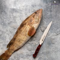 سمك هامور طازج - Fresh hamour fish