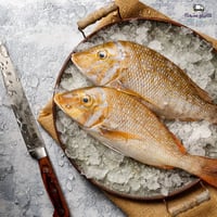 سمك شعري وسط - Medium Shour