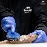 سمك شعري وسط - Medium Shour