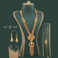 كولكشن كبير مطلي بالذهب