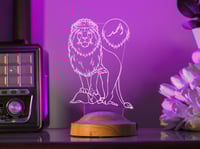 أبجورة قسورة - أبجورة مضيئة مناسبة كهدية للاولاد