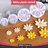 قطاعات بأحجام مختلفة ، أربع قطع حجم صغير .