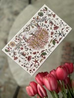 علبة ديور برسوم بارزه موسمية اصلية / علبة مستطيله...