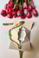 6 علب توزيعات العيد - عطر فان كليف باتشولي اصلي ٢...