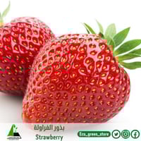 بذور فراولة