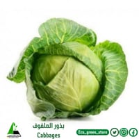 بذور الملفوف