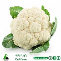 بذور الزهرة