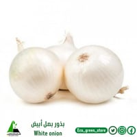 بذور البصل الأبيض