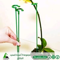 مجموعة 3 أعمدة لتسنيد النباتات