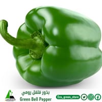 بذور فلفل رومي