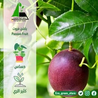 بكج الأشجار المثمرة المميزة