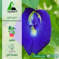 الشاي الأزرق