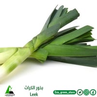 بذور الكراث