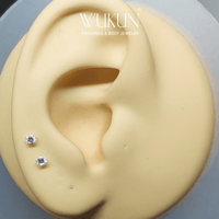 مجموعة حديقة الفضة (بيرسينج فضة 925s لكل ثقوب الاذ...