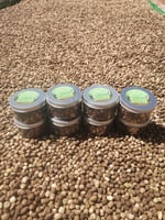 بذور شجرة البان العربي (البرقرينا ) اليسر 250 جرام