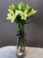 فازه العشق مع ربع كيلو باتشي