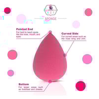 ليف - اسفنجة بيوتي بلاندر