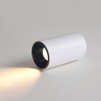 سلندر دائري برميل 20 واط المنيوم 10×10 سم انارة اص...