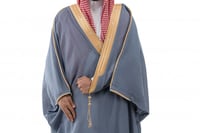 بشت رمادي دقة ملكي