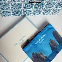 Pouch ( Dolce& Gabbana )